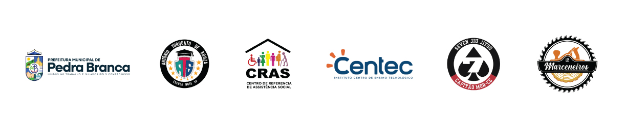 Local Partners